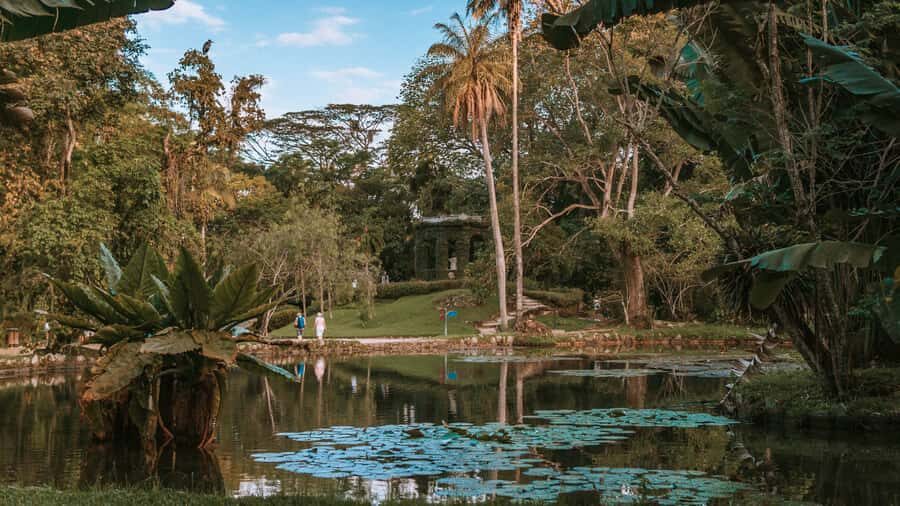 Rio de Janeiro: 4-Hour Botanical Garden & Tijuca Forest Tour - Orchidarium and Bromeliad House: the part that rewards close looking