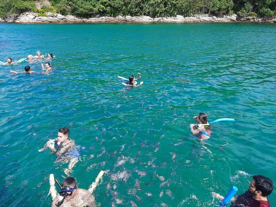 Rio de Janeiro: Angra dos Reis and Ilha Grande Full-Day Tour - Timing at Each Stop: Why It Feels Busy (and How to Enjoy It Anyway)