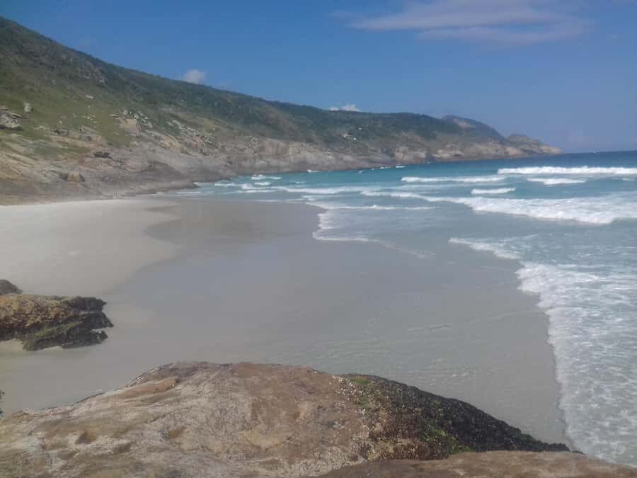 Rio de Janeiro: Arraial do Cabo Scuba Diving Day Trip - Marine Life in Arraial do Cabo: What You Can Expect to See