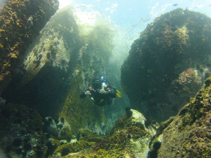 Rio de Janeiro: Arraial do Cabo Scuba Diving Day Trip - Safety, Instruction, and the Role of the Guide (Bruno Is a Good Sign)