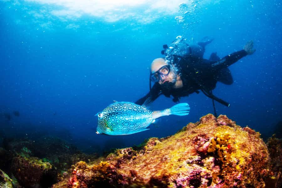 Rio de Janeiro: Arraial do Cabo Scuba Diving Day Trip - Price and Logistics: What You’re Paying for at $255