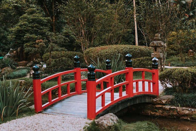 Rio de Janeiro Botanical Garden & Tijuca Forest Tour - Stop 1: Botanical Garden in about one guided hour