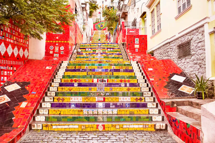 Rio de Janeiro: Christ, Selaron Steps, and Tijuca Park Tour - Key highlights worth caring about