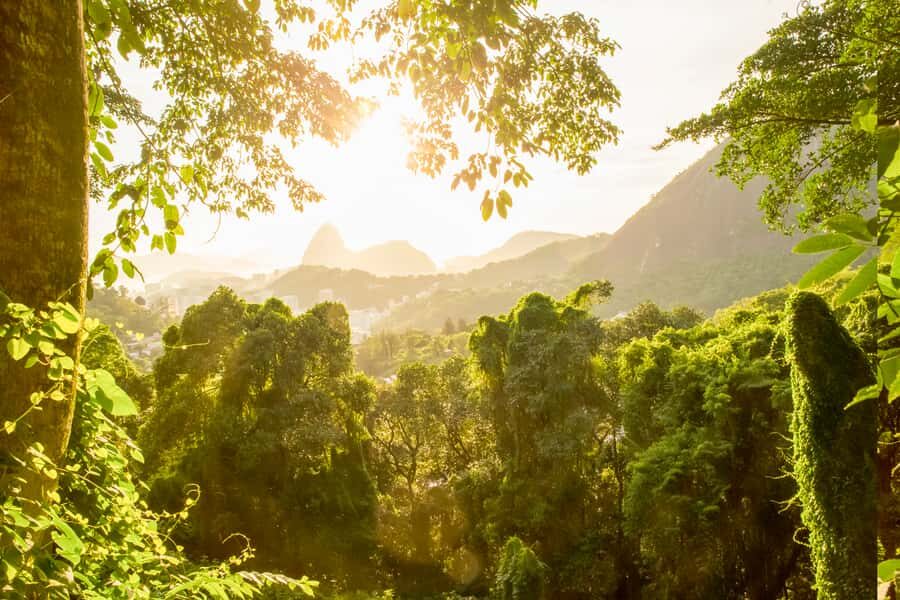 Rio de Janeiro: Christ, Selaron Steps, and Tijuca Park Tour - Guides, van logistics, and why small-group time matters