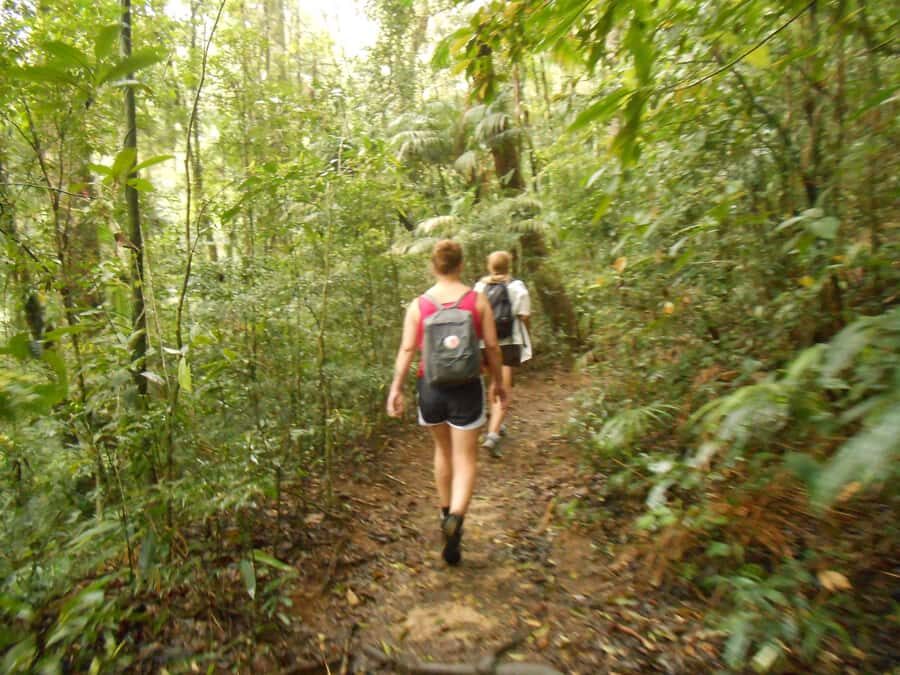 Rio de Janeiro: Christ the Redeemer Guided Hike - Should you book this guided Christ the Redeemer hike?