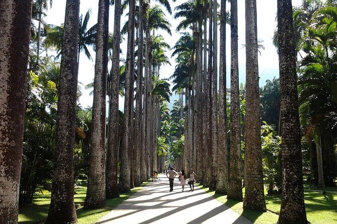 Rio de Janeiro Day Tour with Lunch - Sugarloaf Mountain: panoramic views you can’t fake