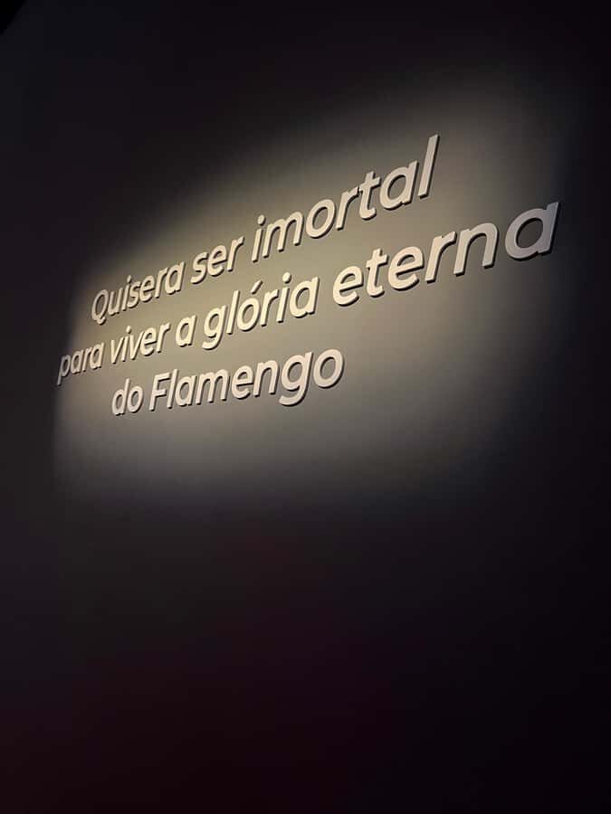 Rio de Janeiro: Flamengo Museum Ticket Entrance - Key highlights worth your time