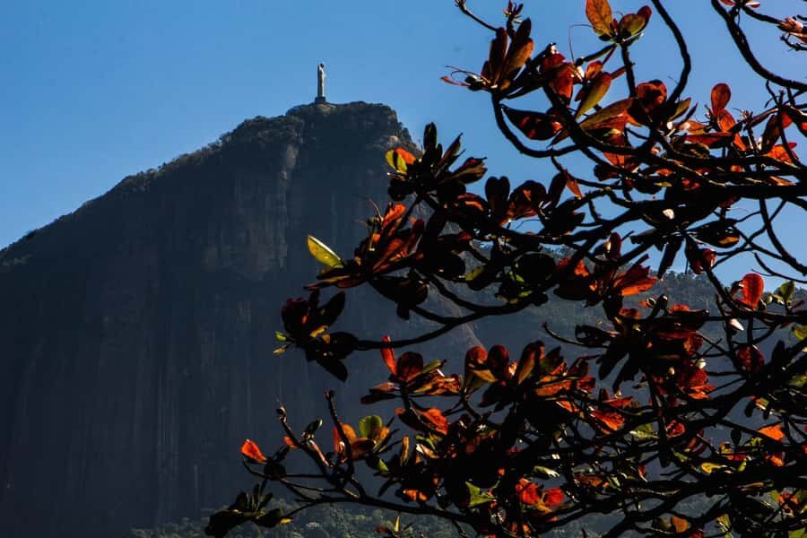Rio de Janeiro: Guided Bike Tours in Small Groups - Why Rio looks different (and better) from a bicycle