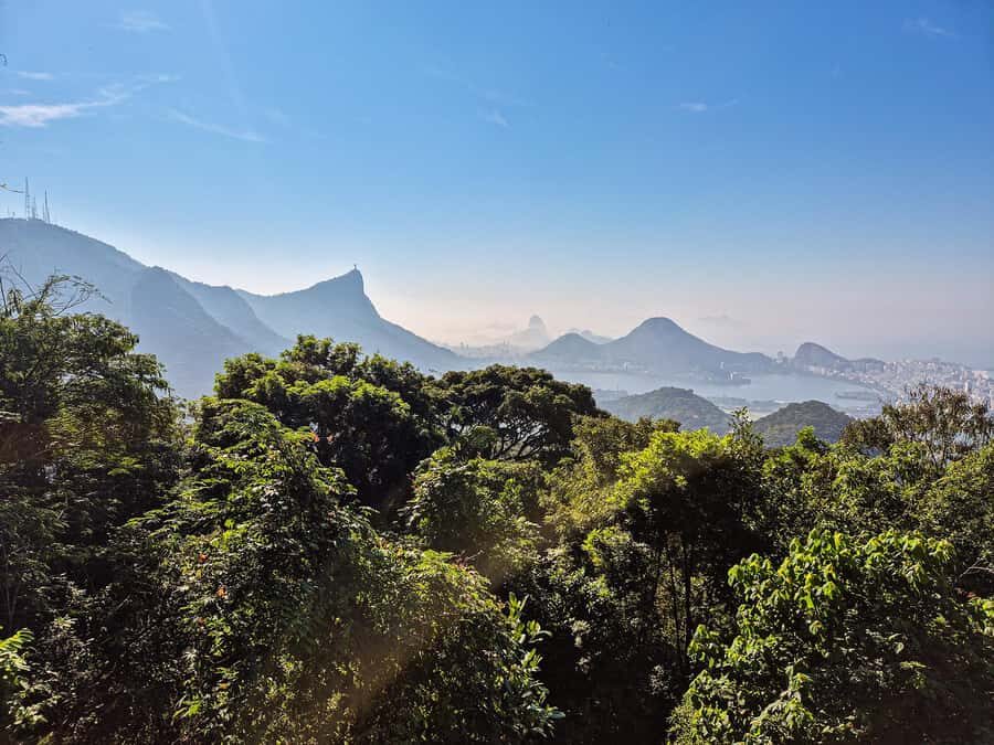 Rio de Janeiro: Guided Jeep Tour through Tijuca Rainforest - Guides matter here: what the narration tends to deliver