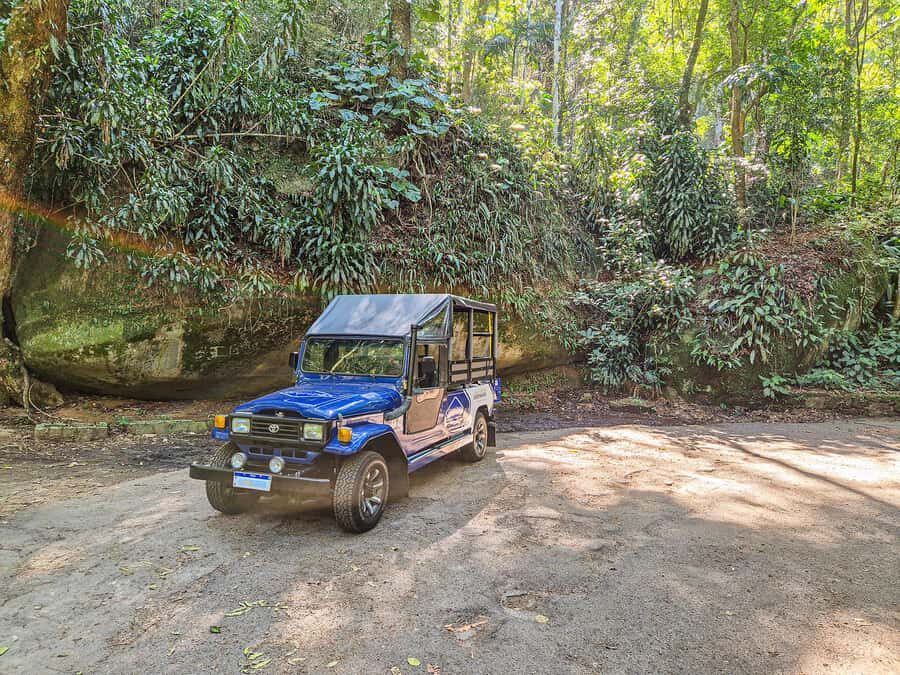 Rio de Janeiro: Guided Jeep Tour through Tijuca Rainforest - Price and value: is $90 for four hours worth it?
