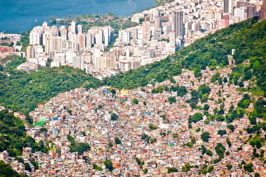 Rio De Janeiro: Half-Day Rocinha Favela Walking Tour - Why This Rocinha Walking Tour Doesn’t Feel Like a Zoo