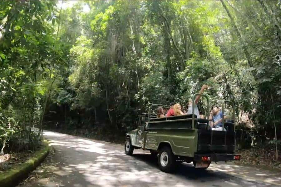 Rio de Janeiro: Jeep Tour Christ the Redeemer + Sugar Loaf - Who should book this Jeep combo (and who should skip it)