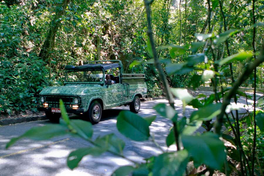 Rio de Janeiro: Jeep Tour in the Tijuca Forest - What the 4x4 Open-Top Jeep Ride Is Like