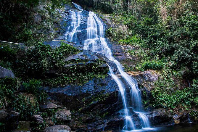 Rio de Janeiro Jeep Tour : Tijuca Forest - Price and Value: What $83.38 Gets You (and What It Doesn’t)