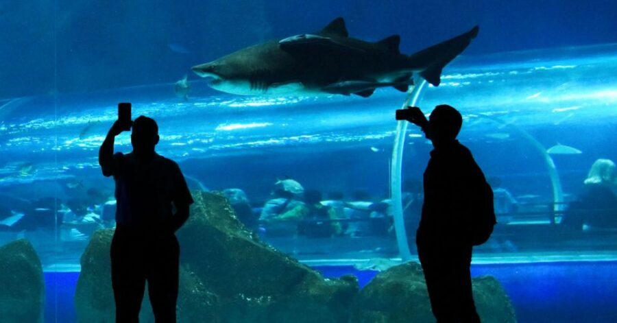 Rio de Janeiro: Marine Aquarium Entry Tickets - Inside AquaRio: what the numbers translate to on the walk-through