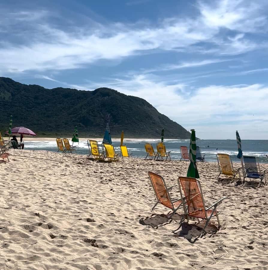 Rio de Janeiro: Pedra do Telégrafo trail and beach stop - The 5–6 hour flow: hike up, viewpoint, then coast on the way down