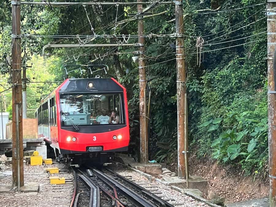 Rio de Janeiro: Private Full-Day Highlights Tour - Tijuca National Park by train, then Christ the Redeemer’s summit views