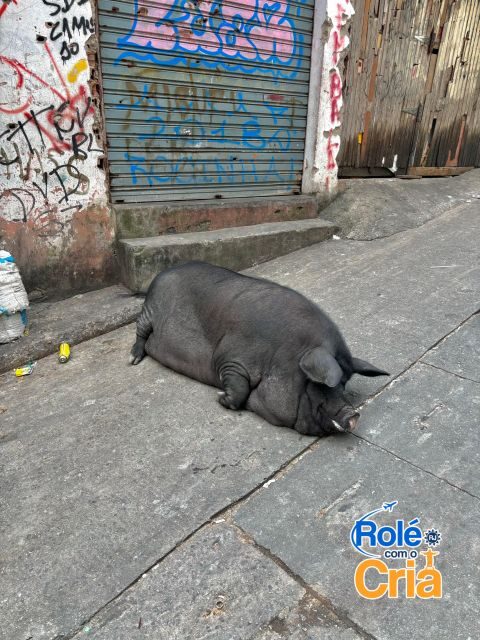 Rio de Janeiro: Rocinha Favela guided tour - Rocinha in 3 hours: what this guided tour is trying to do