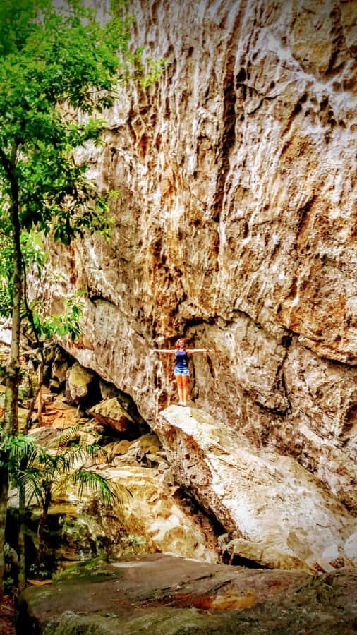 Rio de Janeiro: Tijuca Forest Challenge Hike Full-Day Trip - What to bring (and what will slow you down)