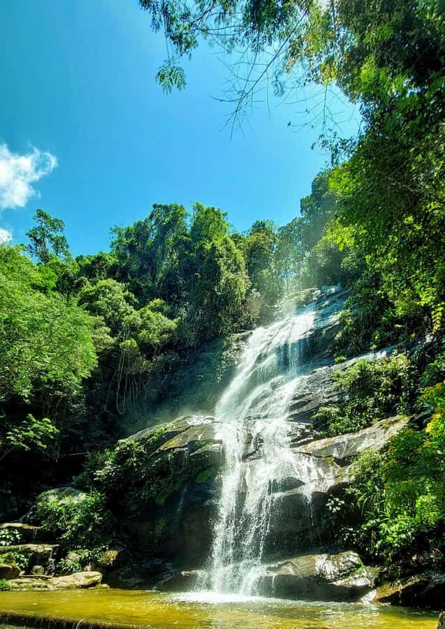 Rio de Janeiro: Tijuca Forest Challenge Hike Full-Day Trip - Cascatinha Taunay and the park intro: setting the tone in the first hour