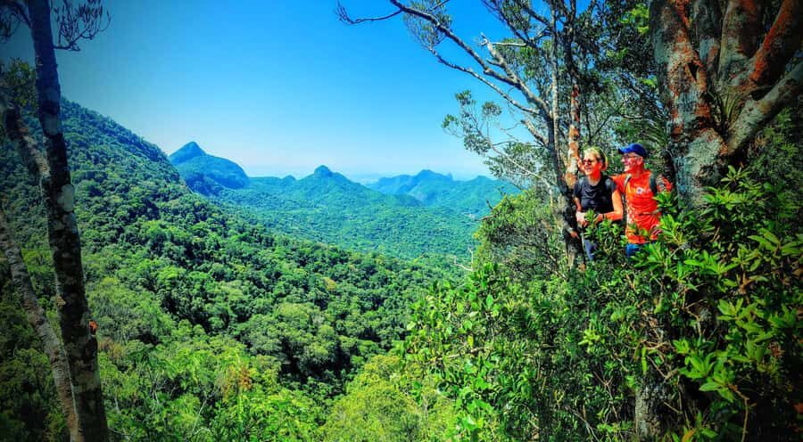 Rio de Janeiro: Tijuca Forest Challenge Hike Full-Day Trip - Coffee farm ruins, grottos, and the Bat Cave stop