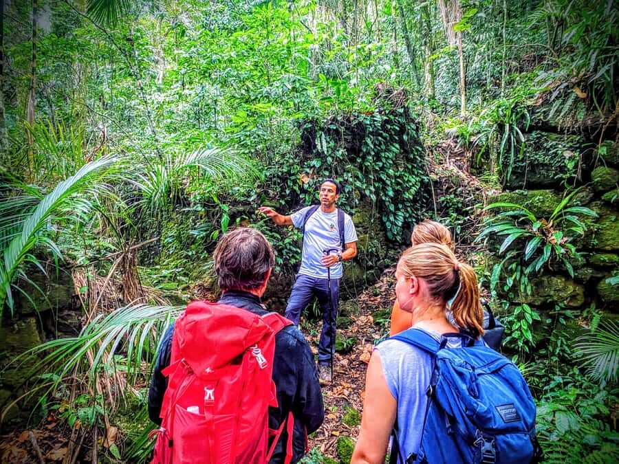 Rio de Janeiro: Tijuca Forest Challenge Hike Full-Day Trip - Cascata da Baronesa and the waterfall refresh: bring towel and swimwear