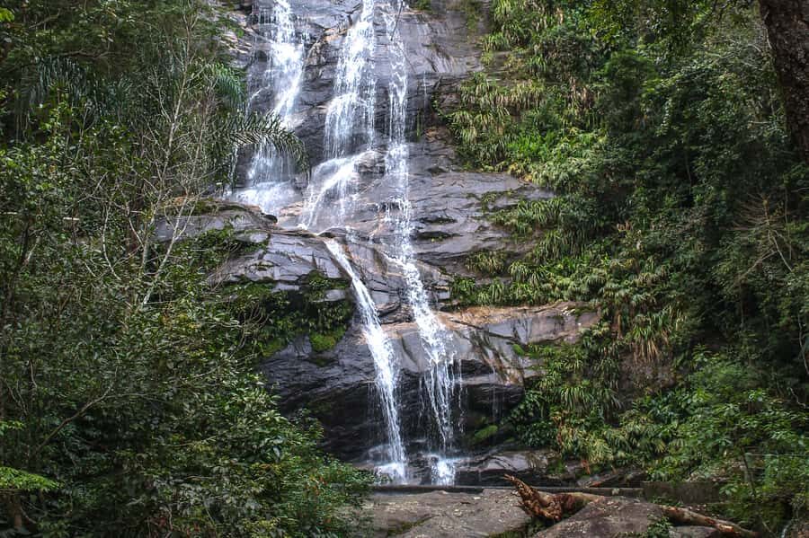 Rio de Janeiro: Tijuca Forest Waterfall of Souls Hike - Why this Tijuca hike feels more like a ritual than a walk