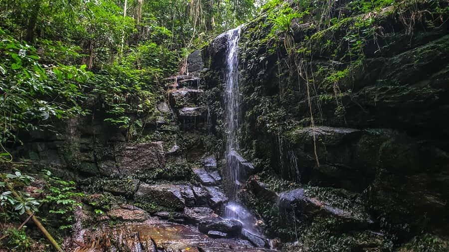 Rio de Janeiro: Tijuca Forest Waterfall of Souls Hike - How the spiritual healing works in practice (not just theory)