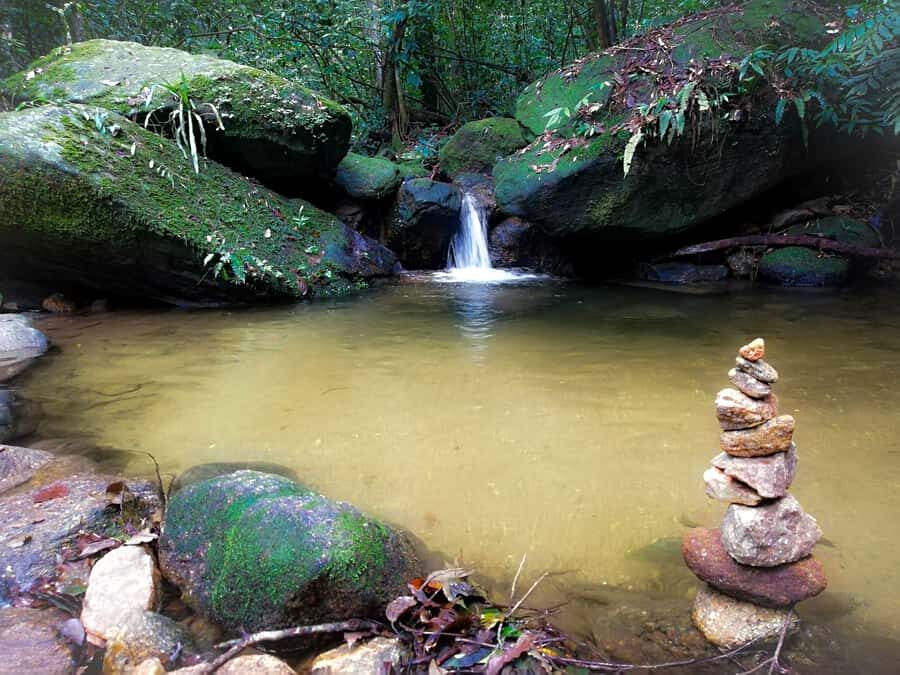 Rio de Janeiro: Tijuca Forest Waterfall of Souls Hike - Price and value: is $60 worth it?