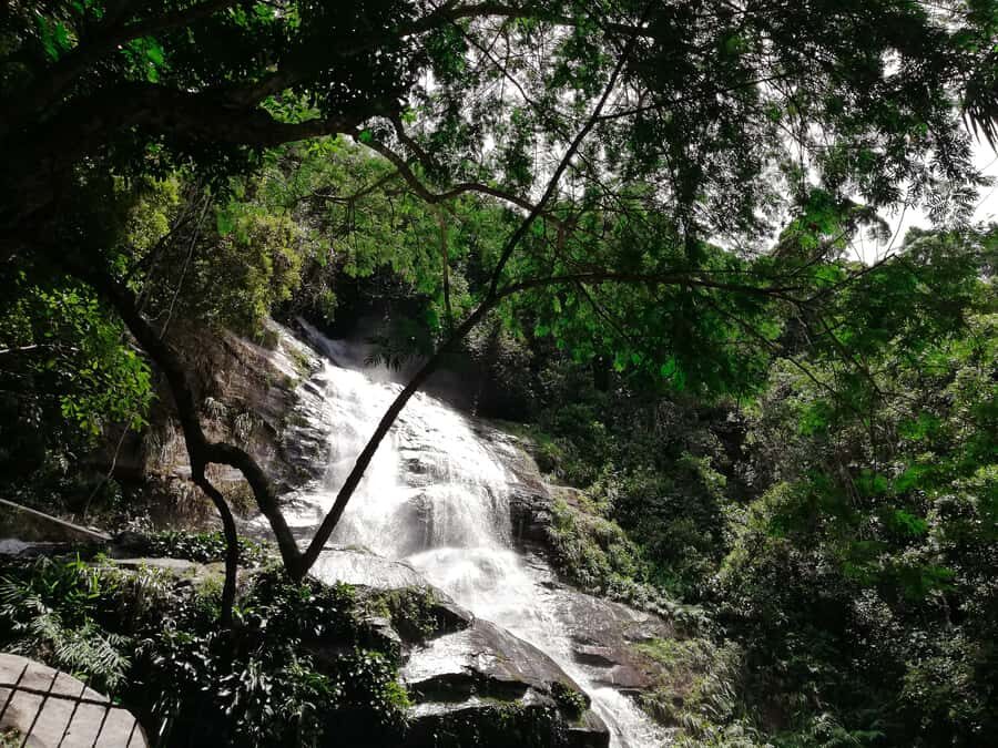 Rio de Janeiro: Tijuca Forest Waterfall of Souls Hike - Where you meet and how the hike starts