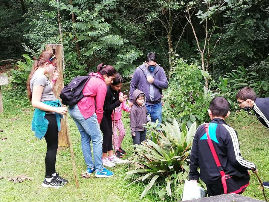 Rio de Janeiro: Tijuca Forest Waterfall of Souls Hike - Meeting the Cascata Taunay view and the Waterfall of Souls bath
