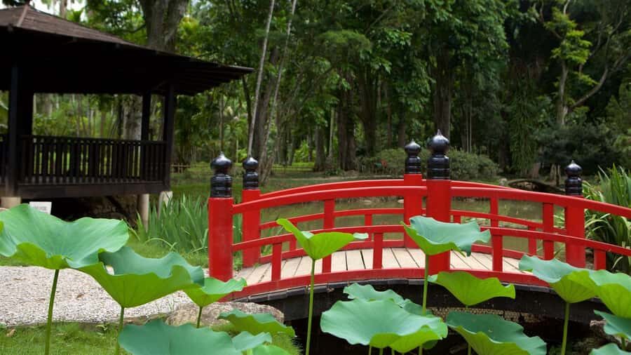 Rio de Janeiro: Tijuca National Park & Botanic Garden Tour - Practical tips that make the day smoother