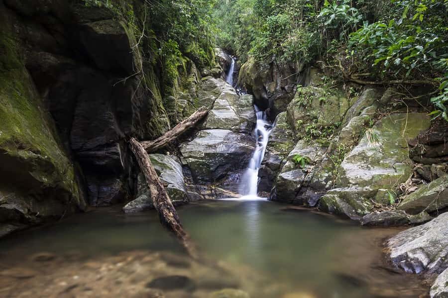 Rio de Janeiro: Tijuca National Park & Botanic Garden Tour - Why Tijuca National Park fits Rio sightseeing so well