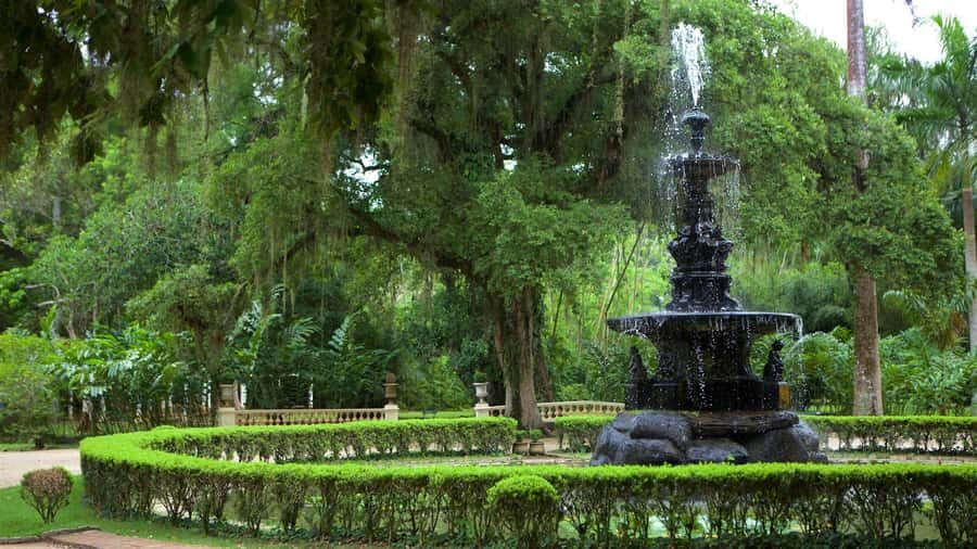 Rio de Janeiro: Tijuca National Park & Botanic Garden Tour - What I think this tour is best for (and what to avoid)