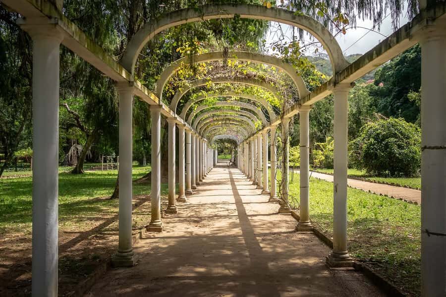 Rio de Janeiro: Tijuca National Park & Botanic Garden Tour - The 4-hour schedule: what you’ll actually experience
