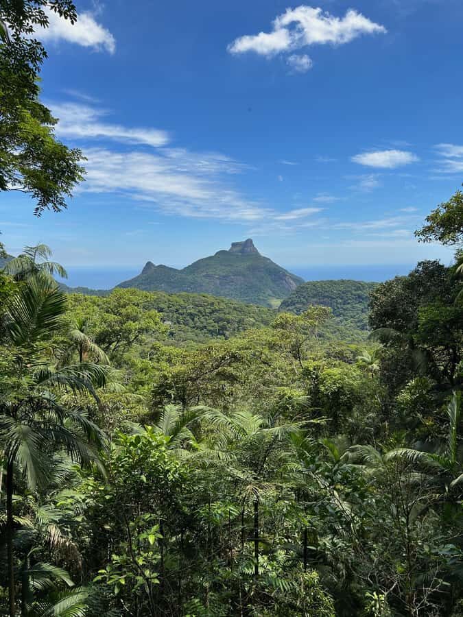 Rio de Janeiro: Tijuca National Park Tour - Why Tijuca feels different from a typical Rio sightseeing day