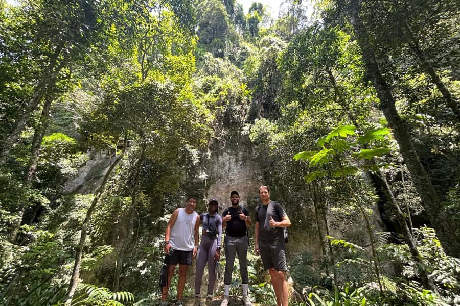 Rio de Janeiro: Tijuca National Park Tour - Price and logistics: how $79 turns into real value