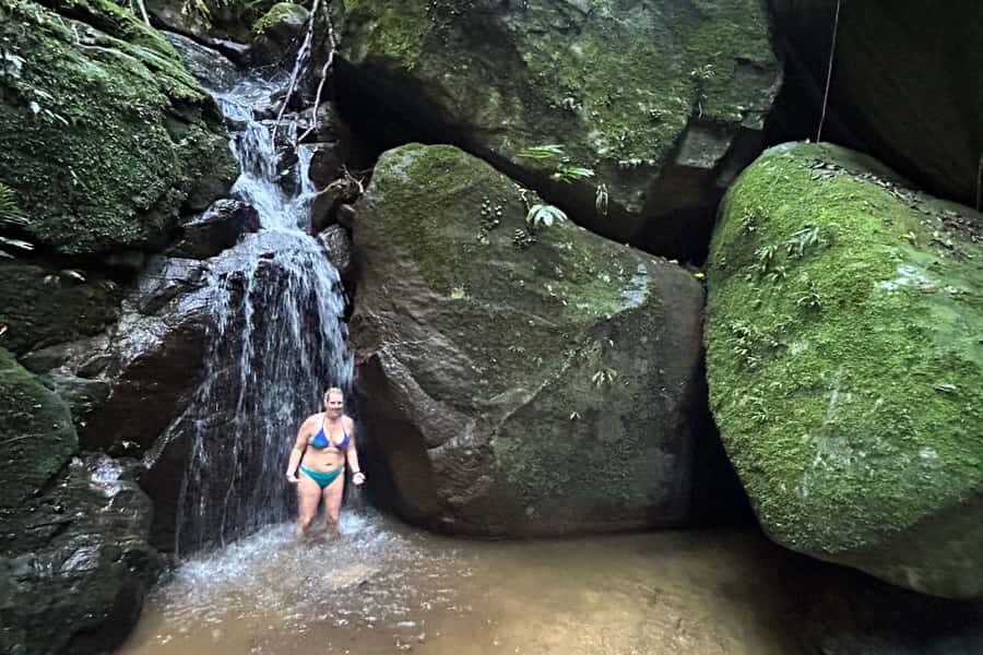 Rio de Janeiro: Tijuca National Park Tour - Photos, videos, and bilingual guiding that actually helps