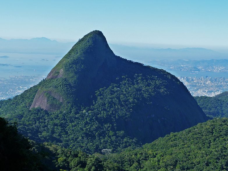 Rio de Janeiro: Tijuca Peak Guided Hike - Key highlights at a glance