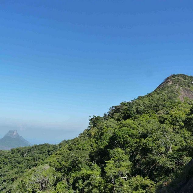 Rio de Janeiro: Tijuca Peak Guided Hike - Cachoeira das Almas: a waterfall stop that breaks the effort