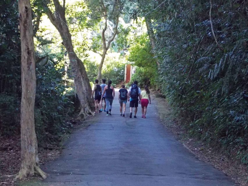 Rio de Janeiro: Tijuca Peak Guided Hike - The Tijuca National Park Museum: why the story matters