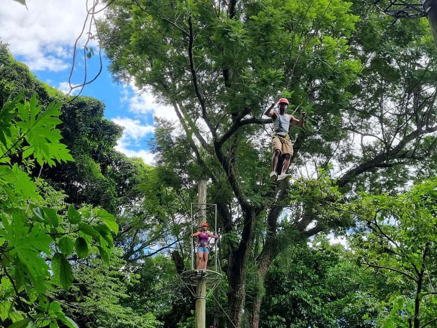 Rio de Janeiro: Zip Lining and Canopy Tree Tour - Key things I’d pay attention to