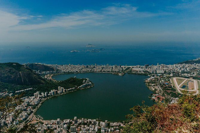 Rio Express: Christ the Redeemer and Sugarloaf Mountain - Tijuca Forest on the way up: the scenery changes before you even reach Corcovado