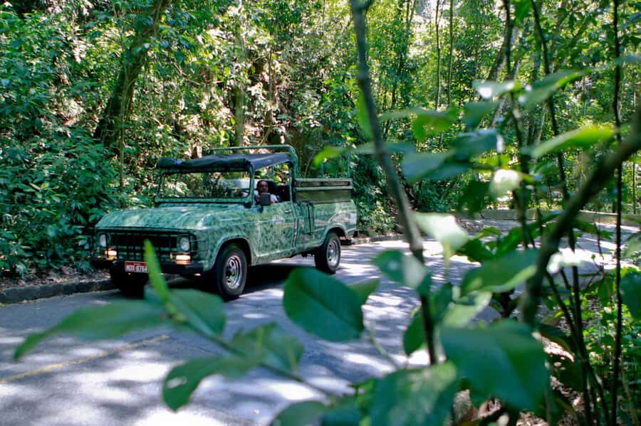Rio: Half-Day Jeep Tour at Floresta da Tijuca - Rio’s edge-of-city forest: why this Jeep tour works