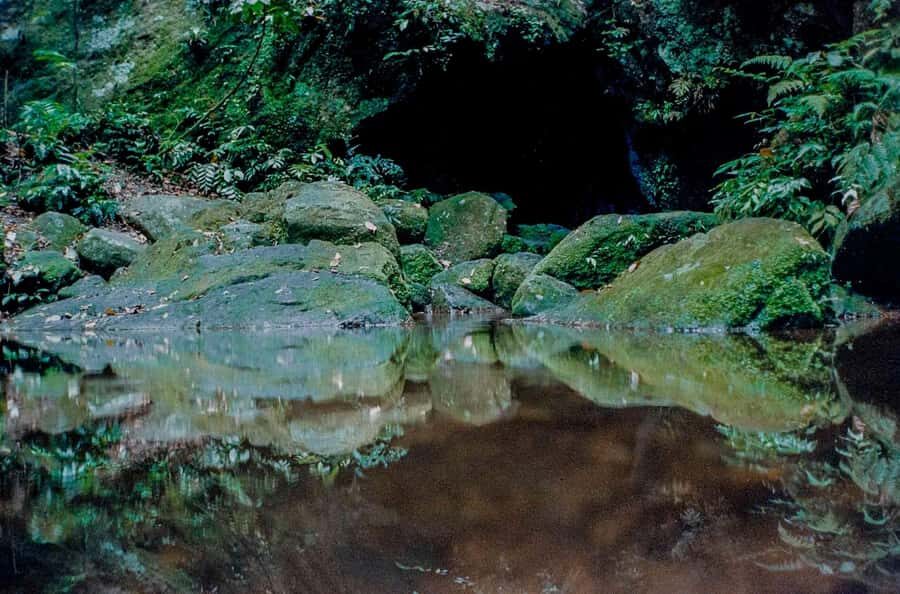 Rio: Half-Day Jeep Tour at Floresta da Tijuca - Lagoa and Christ statue views: the quick Rio hit before the trees