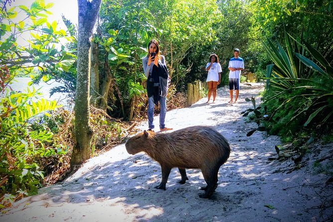 Rio Nature Secrets - The Eco Citytour (small group or private) - Morro Dois Irmãos Park: quick walk, big orientation views