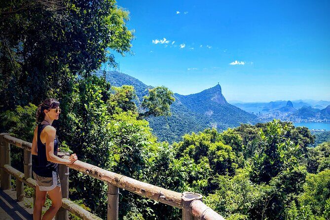 Rio Nature Secrets - The Eco Citytour (small group or private) - Vista Chinesa and Taunay Waterfall: summit photos and staying inside the forest