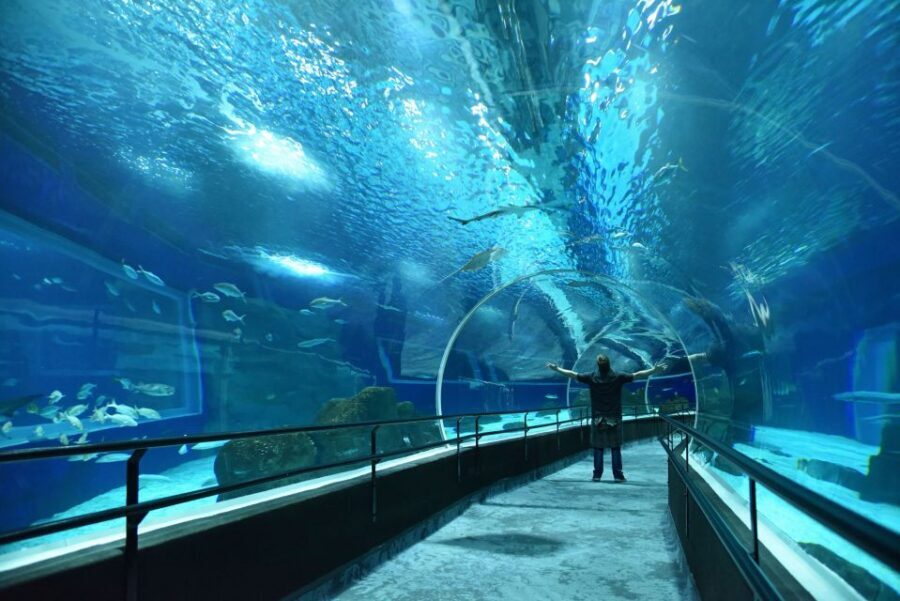 Rio: Olympic Boulevard, AquaRio and Museum of Tomorrow Tour - FAQ