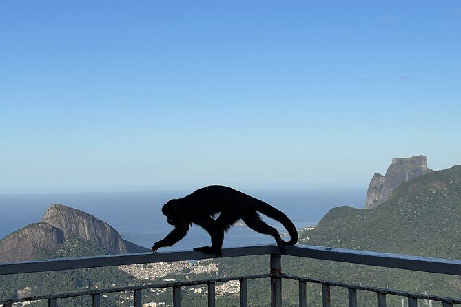 Rio private tour with English guide - Price and Logistics: Where Your $300 Actually Goes