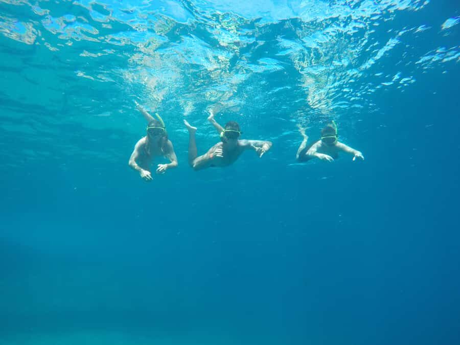 Rio: Snorkel & Swim with Turtles Tour at Tijuca Islands - Key highlights you should care about